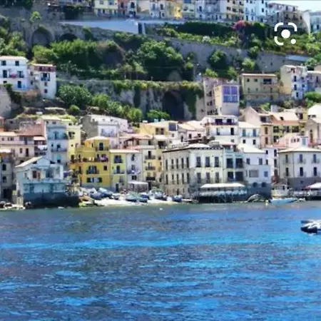 Lo Xifia * Scilla